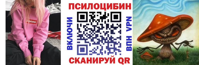 блэк спрут сайт Наволоки Псилоцибиновые грибы Psilocybe